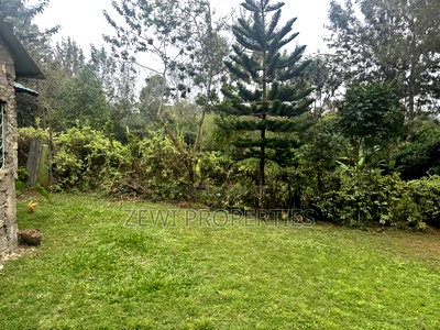 Half Acre Olkeri - Image 2