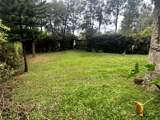 Half Acre Olkeri
