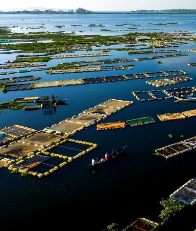 8-Acre Lake Victoria Plot for KSh 3.9M
