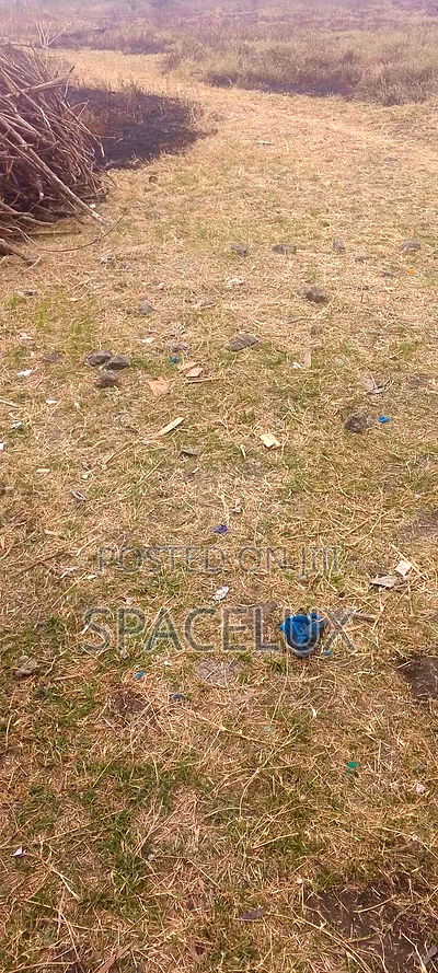 Prime 1acre Land Ruaka - Image 2