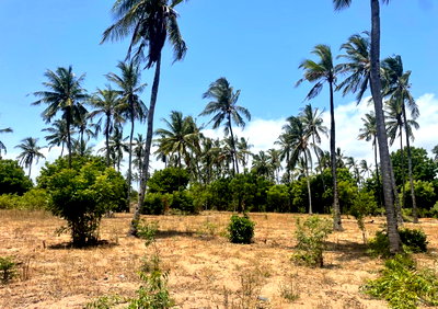 1-Acre Residential Plot in Watamu