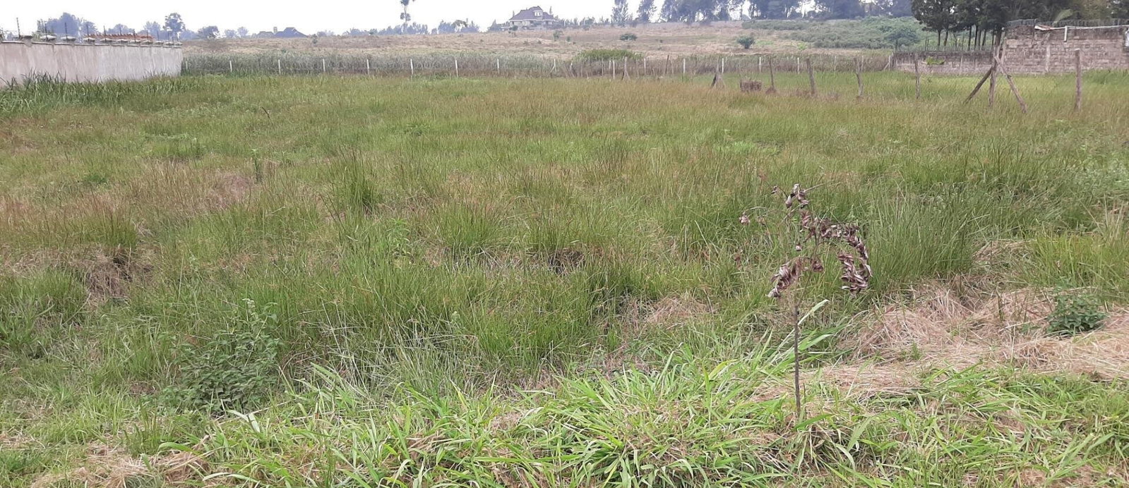 1.1-Acre Garden Oasis in Runda