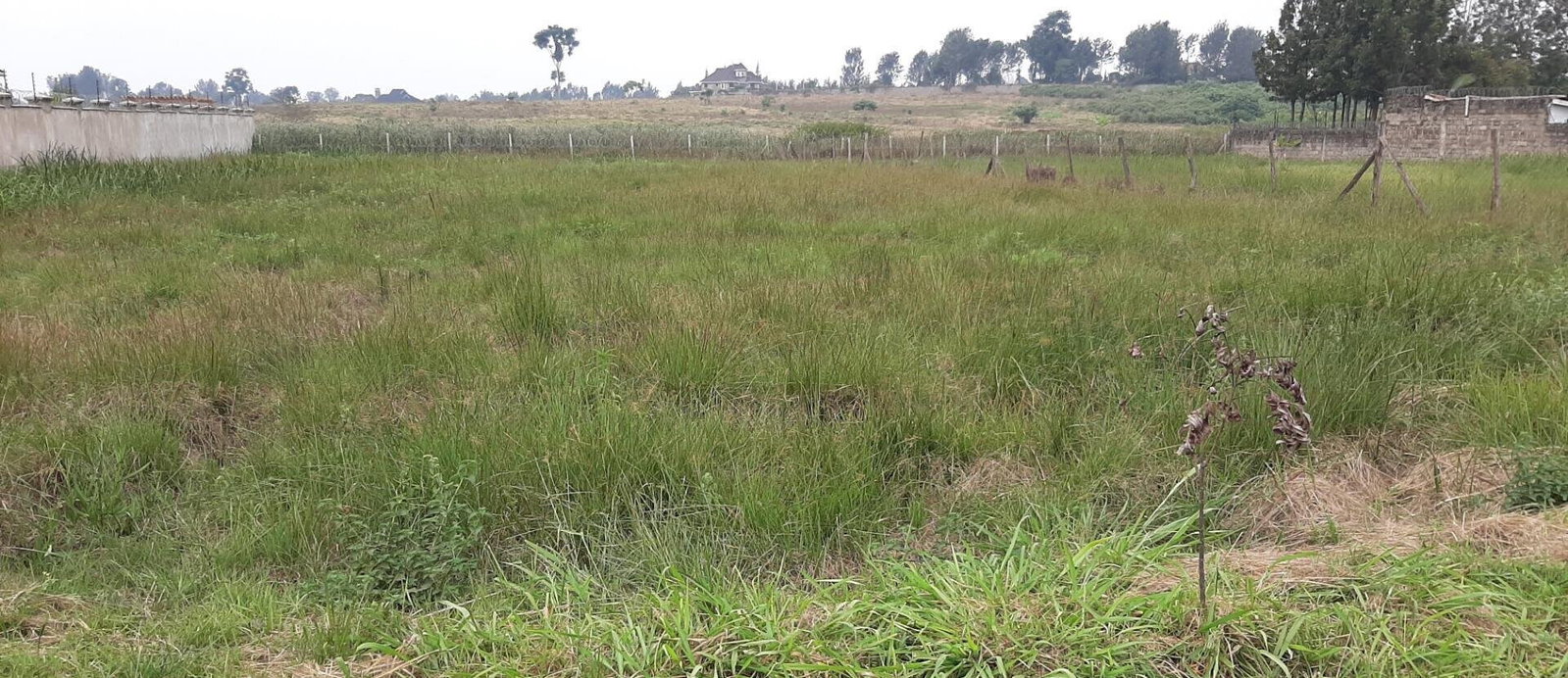 1.1-Acre Garden Oasis in Runda