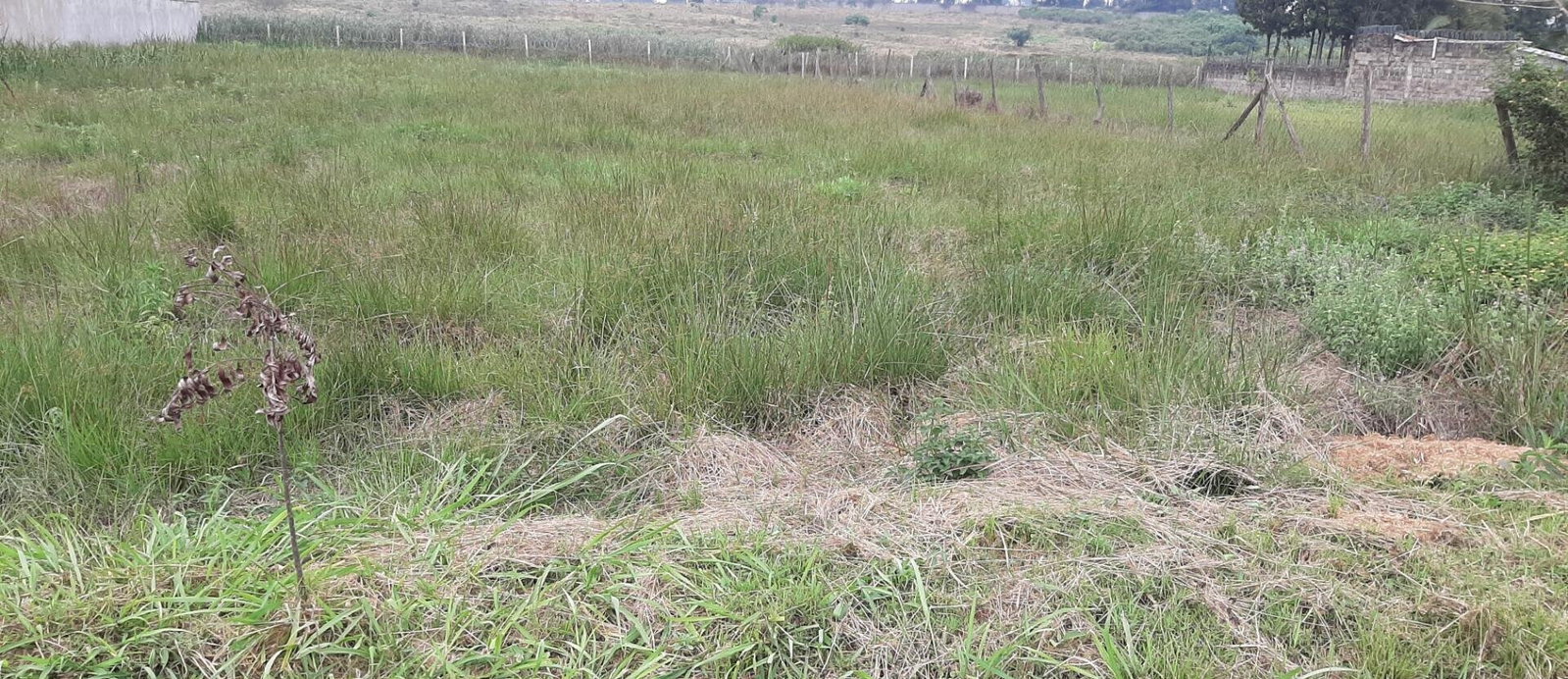1.1-Acre Garden Oasis in Runda
