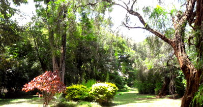 1-Acre Garden Plot in Ridgeways