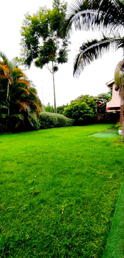 KSh 150M Garden Plot in South C