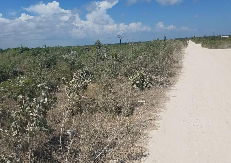 Quarter Acre Watamu Gem at KSh 3M