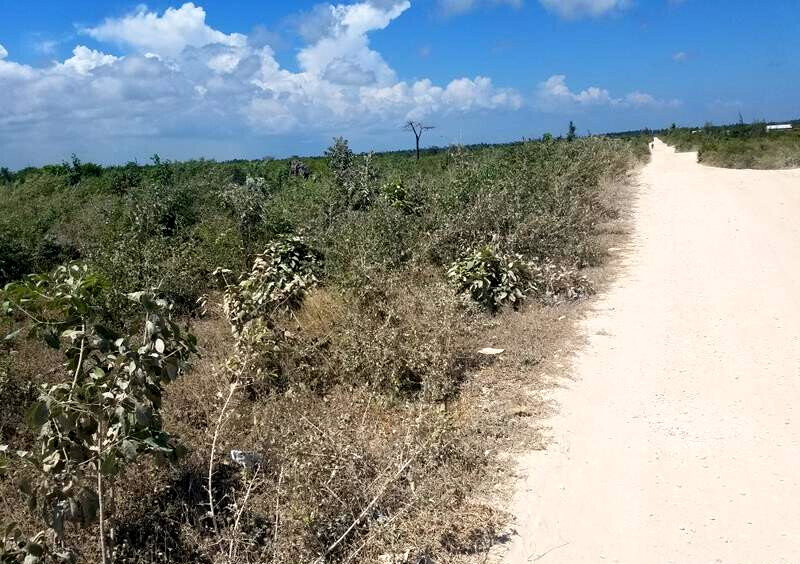 Quarter Acre Watamu Gem at KSh 3M