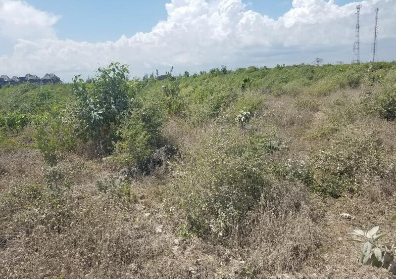 Quarter Acre Watamu Gem at KSh 3M