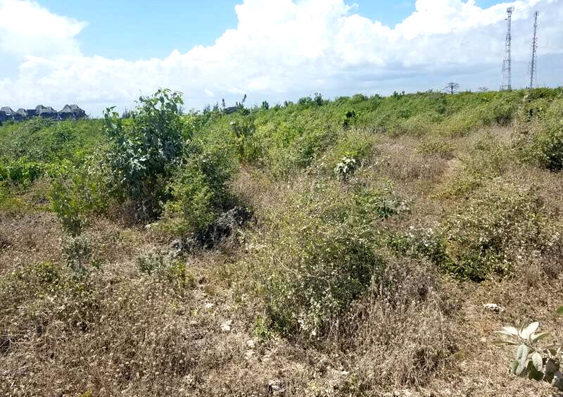 Quarter Acre Watamu Gem at KSh 3M