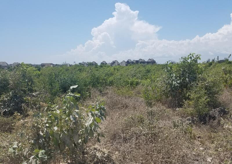 Quarter Acre Watamu Gem at KSh 3M