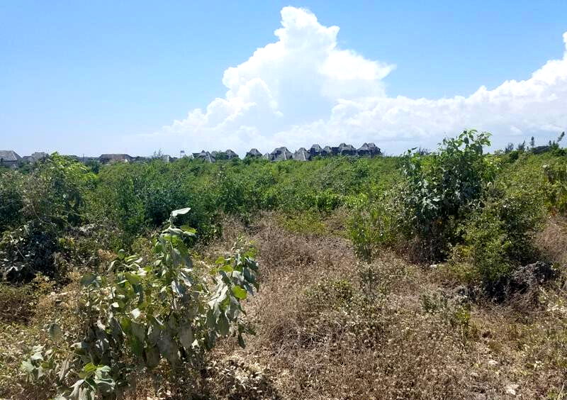 Quarter Acre Watamu Gem at KSh 3M