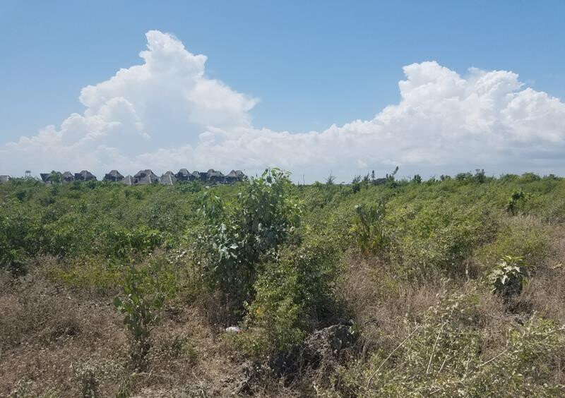 Quarter Acre Watamu Gem at KSh 3M