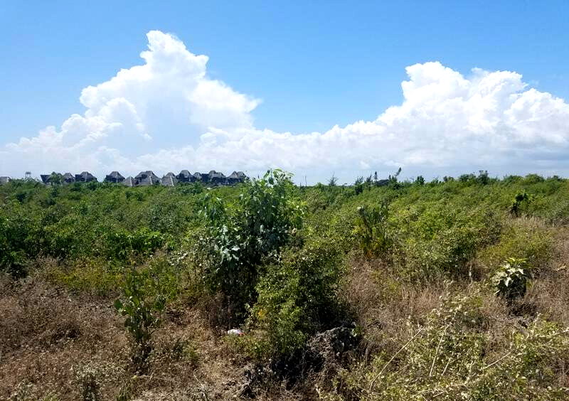 Quarter Acre Watamu Gem at KSh 3M