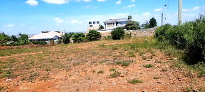 Thika Ngoriba - Image 2