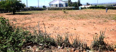 Thika Ngoriba - Image 5