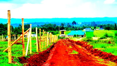 Affordable Plots for Sale in Kamangu Ha_koinange - Image 3