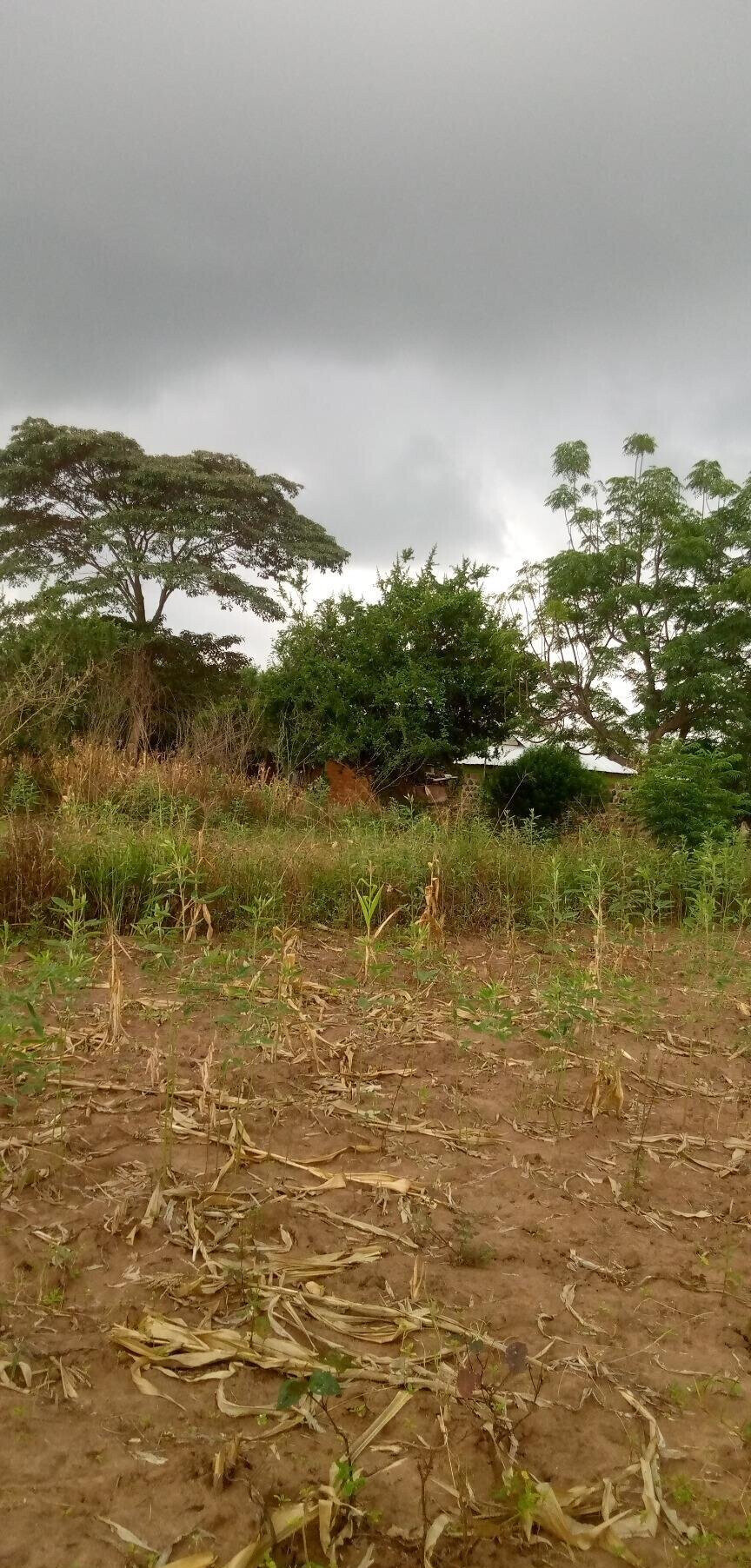 1.7-Acre Garden Plot with Parking - Machakos