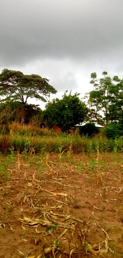 1.7-Acre Garden Plot with Parking - Machakos