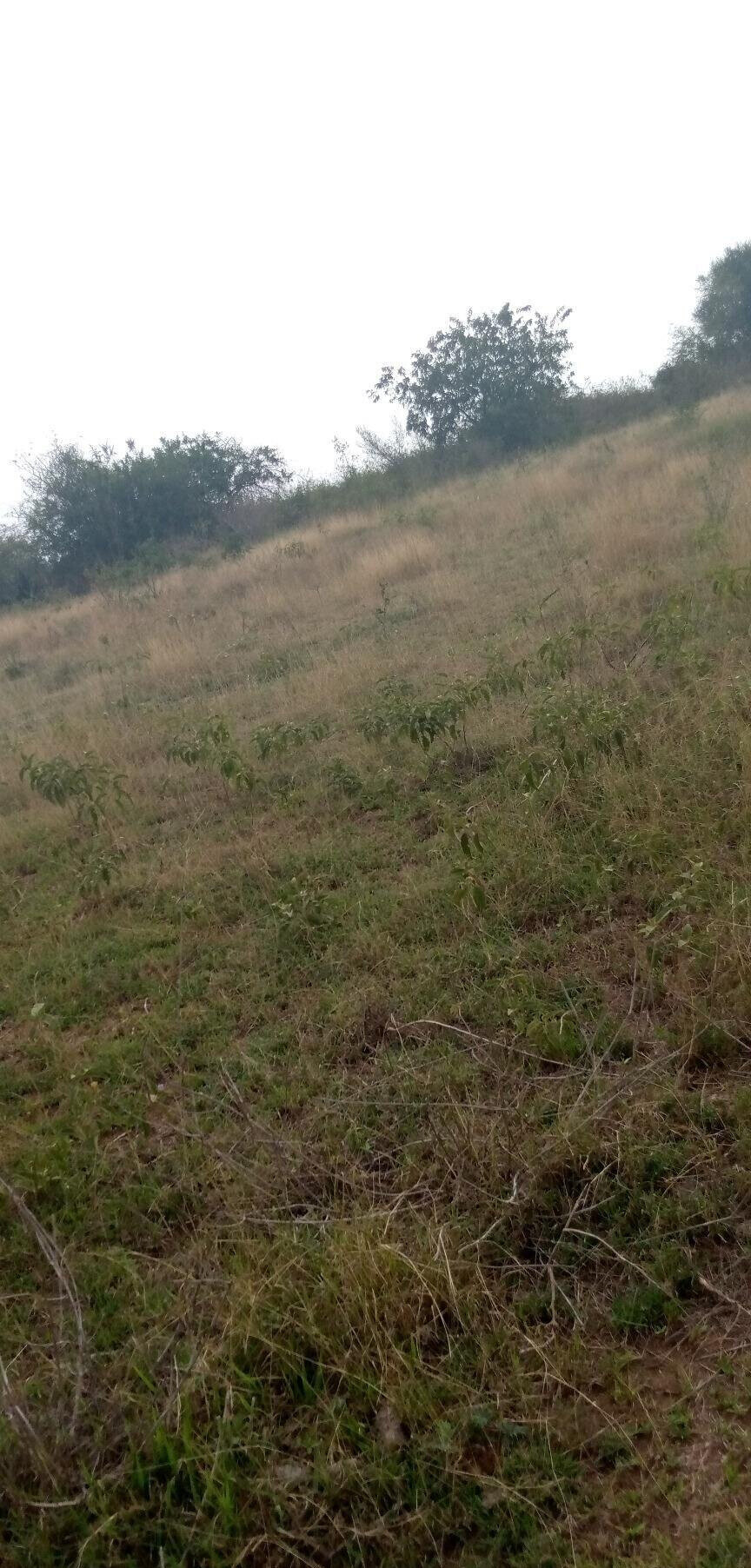 1.7-Acre Garden Plot with Parking - Machakos