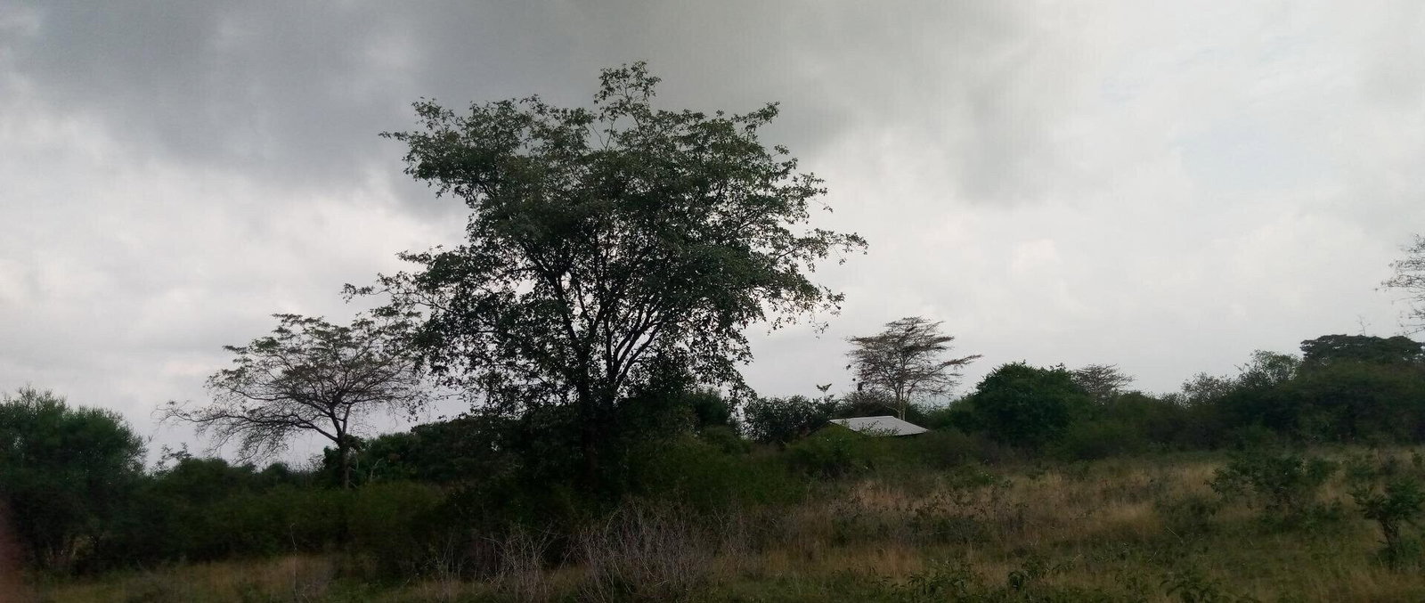 1.7-Acre Garden Plot with Parking - Machakos
