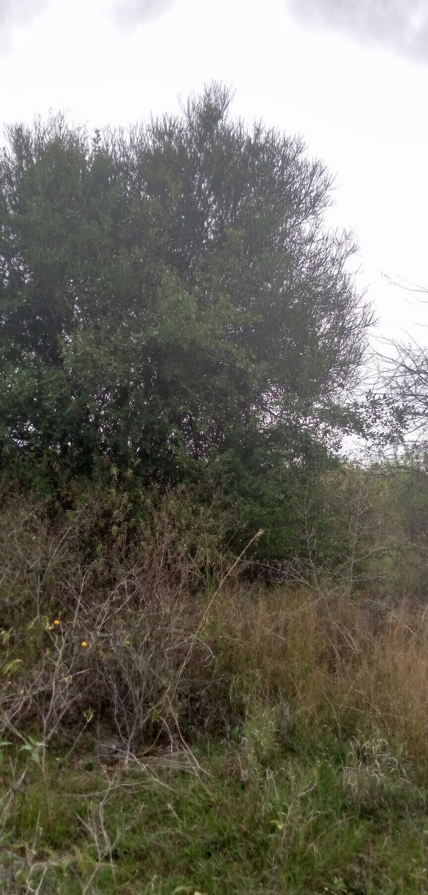 1.7-Acre Garden Plot with Parking - Machakos