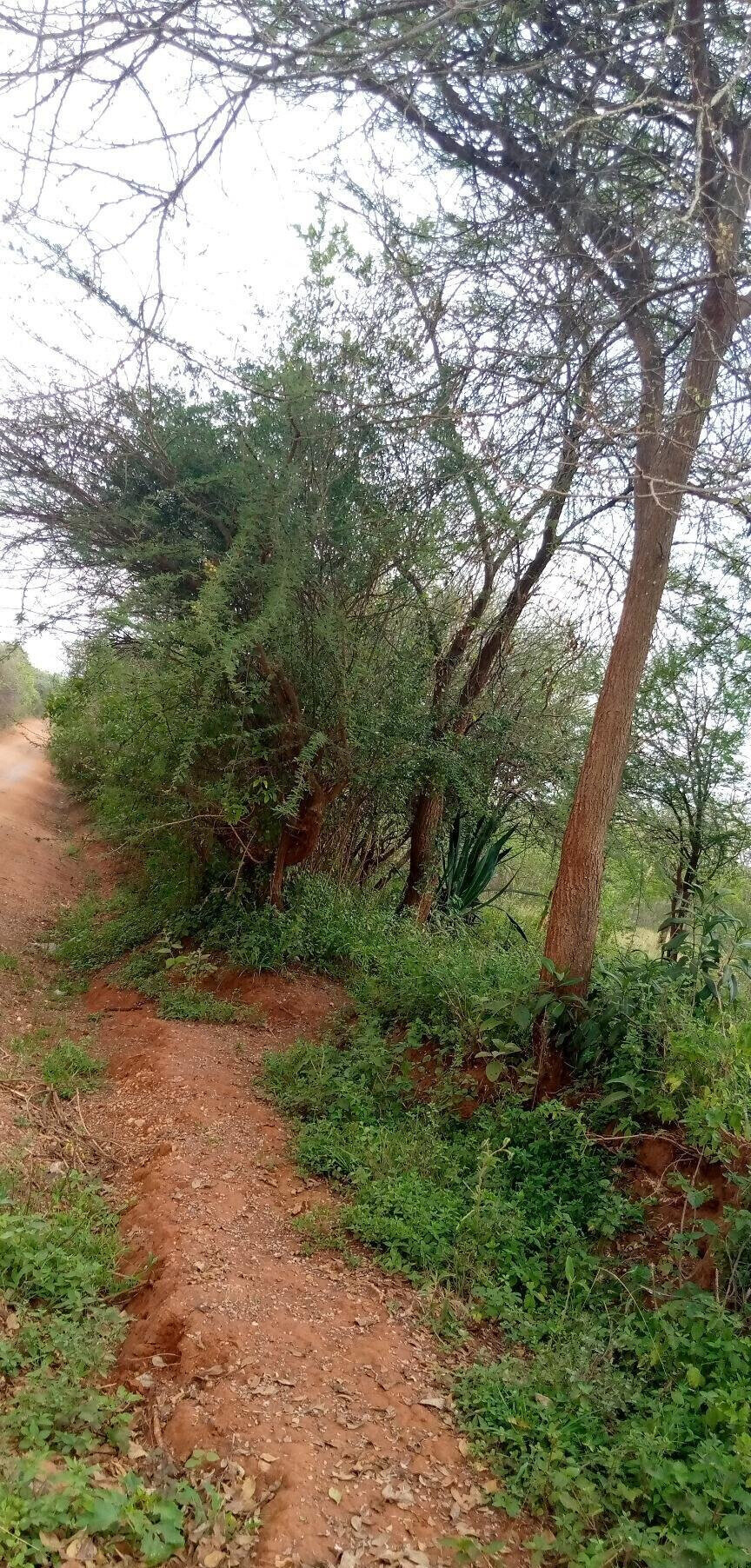 1.7-Acre Garden Plot with Parking - Machakos