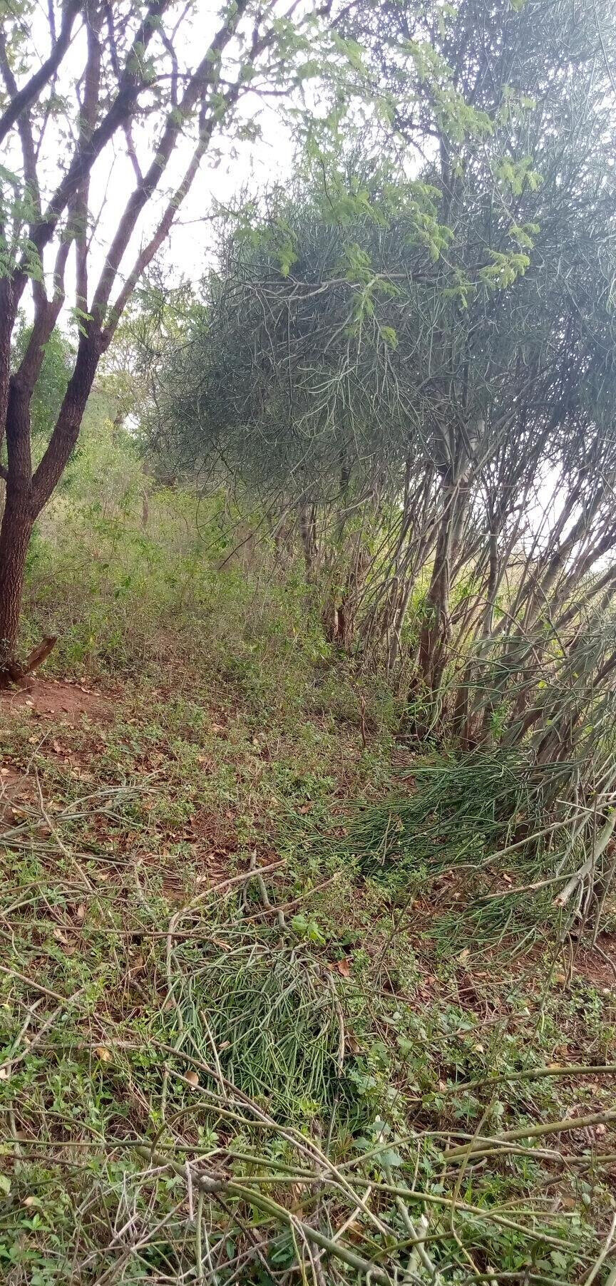 1.7-Acre Garden Plot with Parking - Machakos