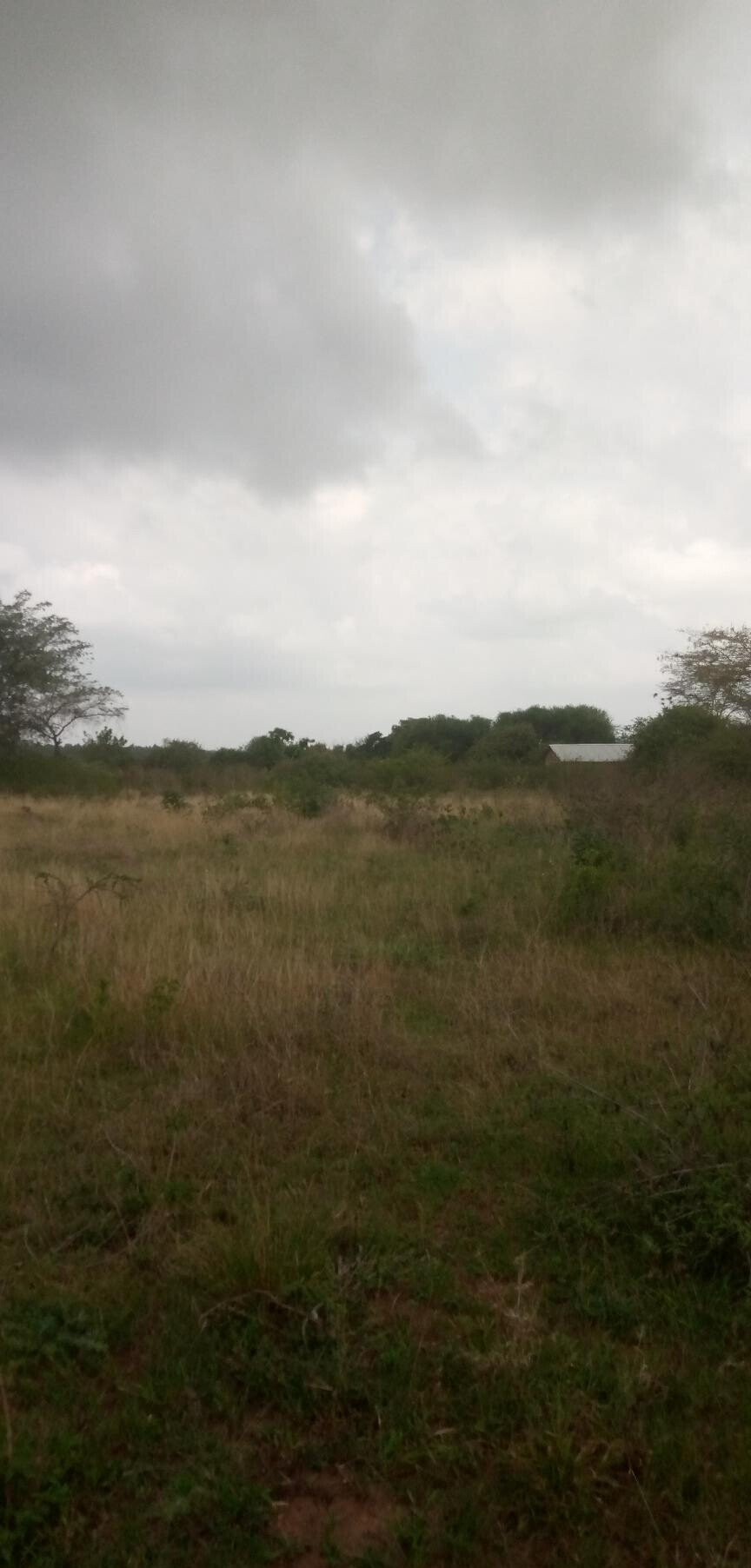 1.7-Acre Garden Plot with Parking - Machakos