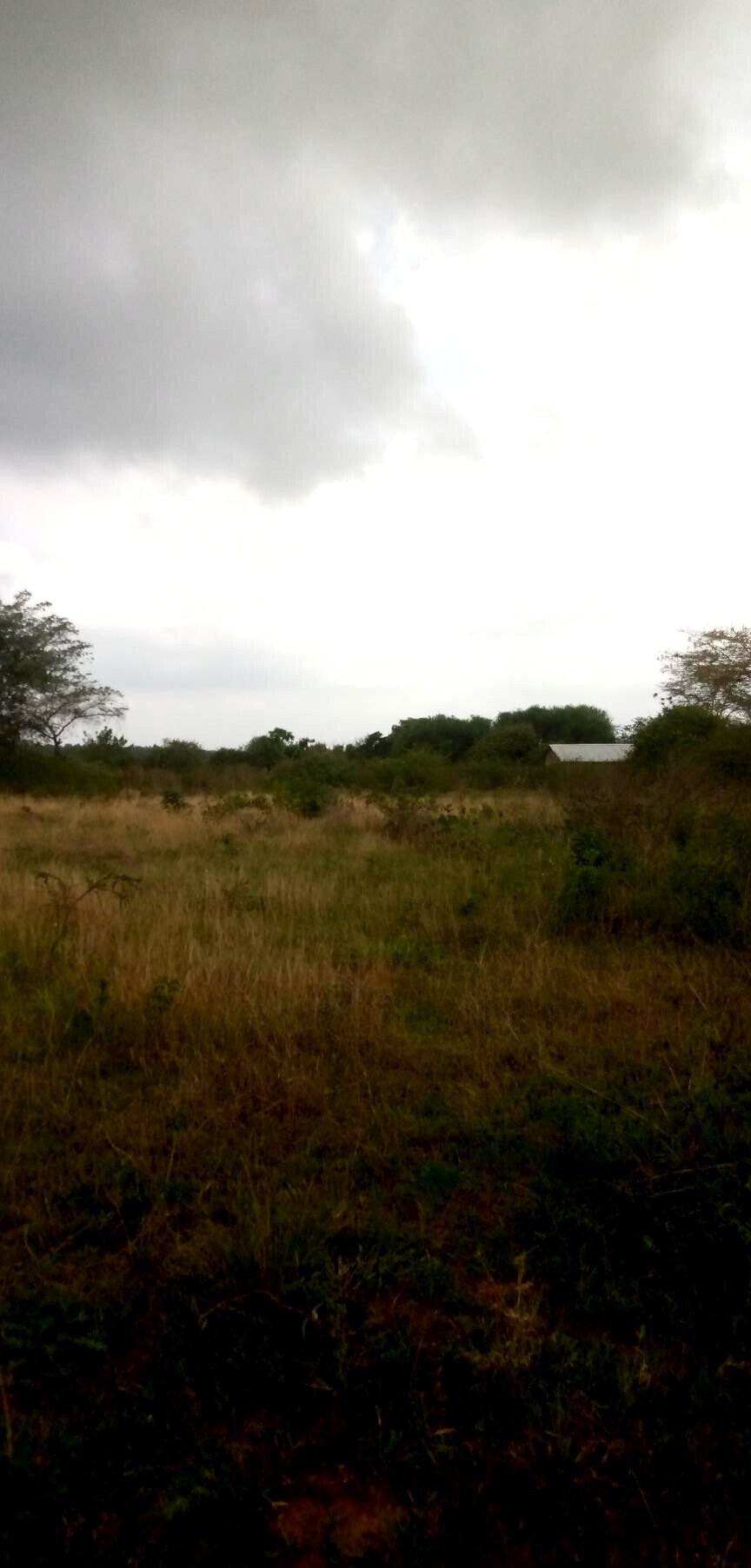 1.7-Acre Garden Plot with Parking - Machakos