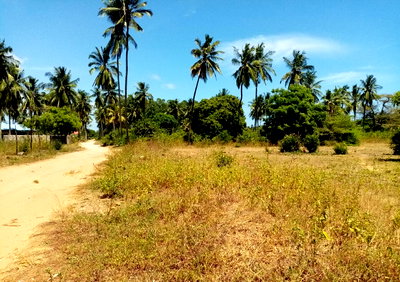 1/8 Acre Plot for KSh 850K