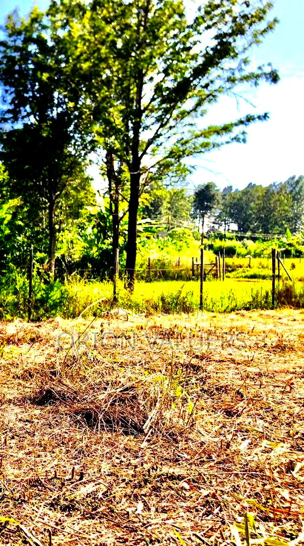 Prime 1/8 Acre Plot for Sale - Ruiru, Mugutha