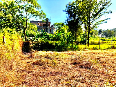 Prime 1/8 Acre Plot for Sale - Ruiru, Mugutha - Image 3