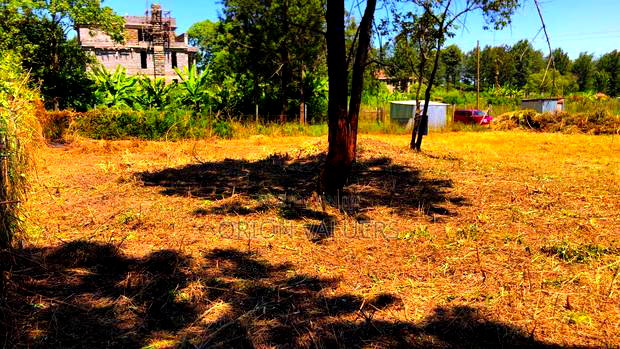 Prime 1/8 Acre Plot for Sale - Ruiru, Mugutha