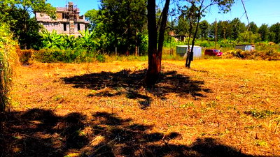 Prime 1/8 Acre Plot for Sale - Ruiru, Mugutha - Image 5