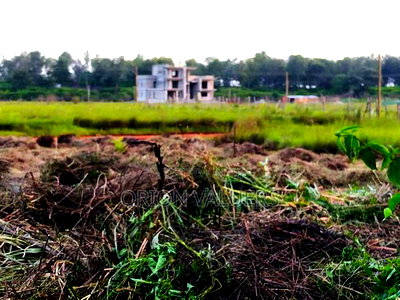 Prime 1/8 Acre Plot for Sale - Ruiru, Mugutha - Image 4