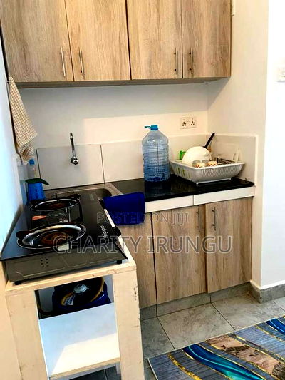 Furnished 1bdrm Apartment in Sanasana Area, South B for rent - Image 8