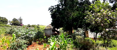 Half Acre Garden Plot in Thindigua