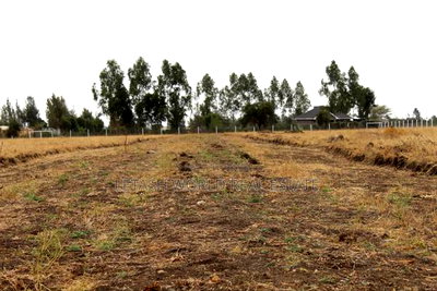 Selling For 1.35 Million, 500 Mtrs From Tarmac, 2km From Kag - Image 2