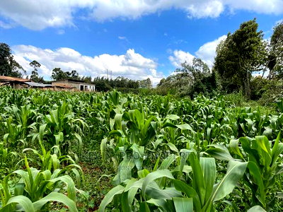 Prime Block of Land for Sale in Kikuyu Town. - Image 7