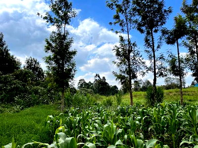 Prime Block of Land for Sale in Kikuyu Town. - Image 12