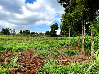 Prime Block of Land for Sale in Kikuyu Town. - Image 10