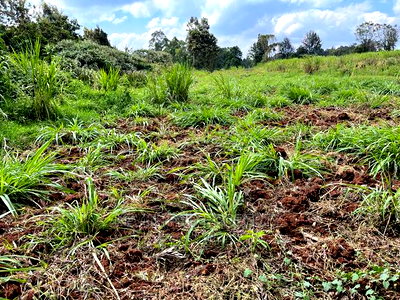 Prime Block of Land for Sale in Kikuyu Town. - Image 13