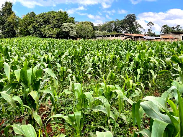 Prime Block of Land for Sale in Kikuyu Town.