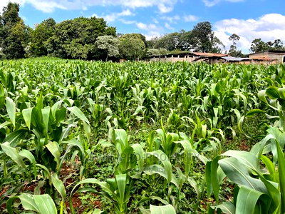 Prime Block of Land for Sale in Kikuyu Town. - Image 3