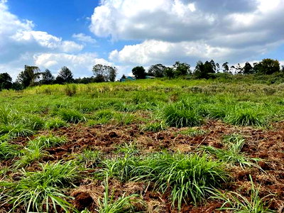 Prime Block of Land for Sale in Kikuyu Town. - Image 2