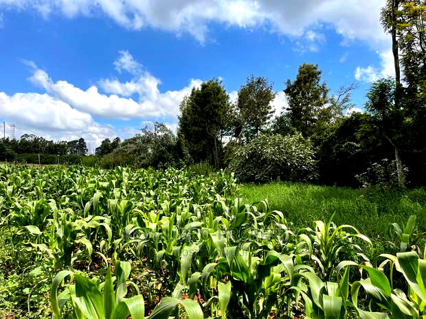 Prime Block of Land for Sale in Kikuyu Town.