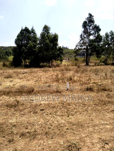 Kikuyu-Ndiguini, Ndacha - Image 5