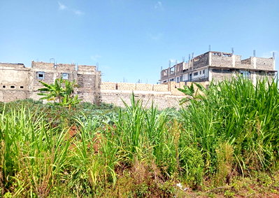 KSh 20M Quarter Acre Plot
