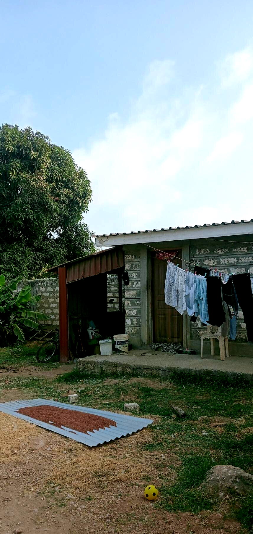 Quarter Acre Plot with Garden at KSh 20M